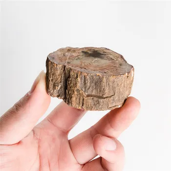 1buc Lemn Natural Fosili Decorațiuni interioare Lemn Piatră Pentru Specimen de Educație Colectare Pietre