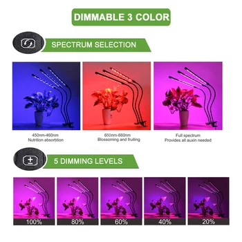 Led-uri Cresc de Lumină întregul Spectru Lampa Pentru Plantele de Casa 5V USB de Interior Răsad Phytolamps Pentru Orhidee Desktop Fitolampy Cu Timer
