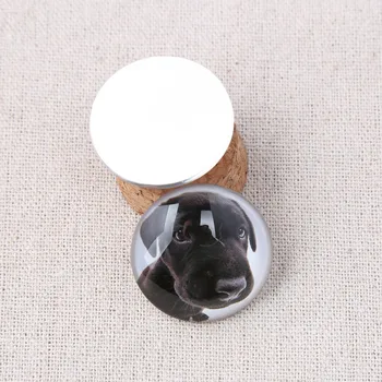 Onwear se amestecă câine drăguț foto cu capul rotund cupola de sticlă cabochons 30mm 25mm 20mm diy spate plat bijuterii lucrate manual concluziile