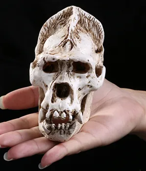 Realist Gorilla Craniu Modele Realiste De Animale Schelet Rășină Modele De Halloween Decor Acasă Medical Didactice De Groază Cifre