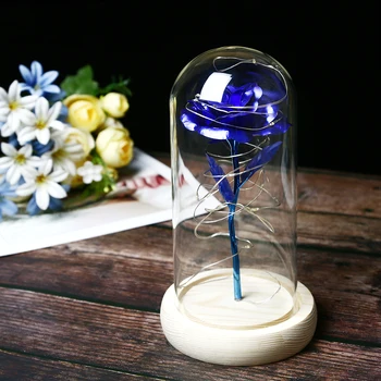 Romantic Lumina Eternă Floare Trandafir Capac de Sticlă Frumusete si ia LED Acumulator Lampa de Ziua Îndrăgostiților, Ziua Mamei Cadou Decor